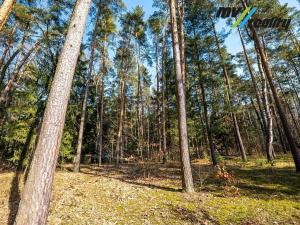Prodej pozemku pro bydlení, Hradištko, 3725 m2