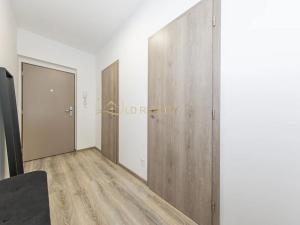 Pronájem bytu 1+kk, Olomouc, Frištenského, 32 m2