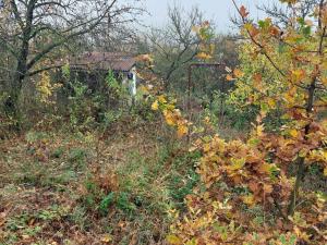 Pronájem zahrady, Samotišky, 380 m2