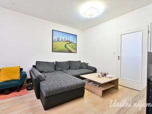Pronájem bytu 2+1, Brno, Palackého třída, 56 m2