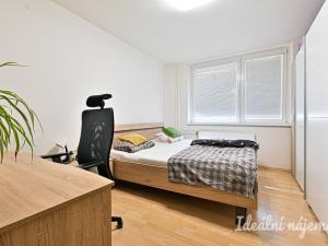 Pronájem bytu 2+1, Brno, Palackého třída, 56 m2