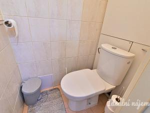 Pronájem bytu 2+1, Brno, Palackého třída, 56 m2