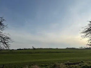 Prodej lesa, Čistá, 2633 m2