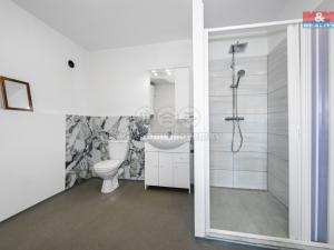 Pronájem bytu 2+1, Terešov, 61 m2