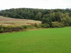 Dražba pole, Kostelec nad Černými lesy, 4541 m2