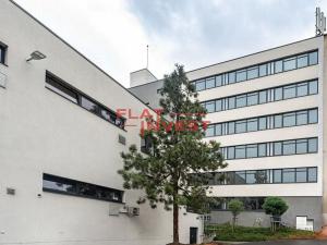 Pronájem kanceláře, Praha - Strašnice, Průběžná, 100 m2
