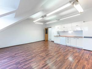 Pronájem bytu 2+kk, Praha - Vinohrady, Dykova, 72 m2