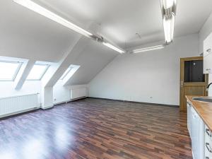 Pronájem bytu 2+kk, Praha - Vinohrady, Dykova, 72 m2