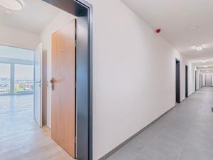 Pronájem bytu 1+kk, Olomouc, 35 m2