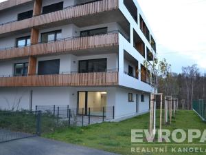 Pronájem bytu 1+kk, Plzeň, Kartónová, 33 m2