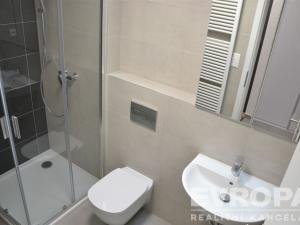 Pronájem bytu 1+kk, Plzeň, Kartónová, 33 m2