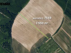 Prodej pole, Lovčice, 5541 m2