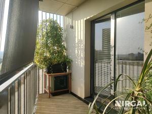 Pronájem bytu 3+kk, Praha - Libeň, Novovysočanská, 62 m2