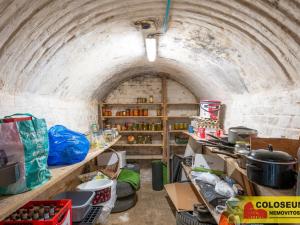 Prodej vícegeneračního domu, Dolní Kounice, 170 m2