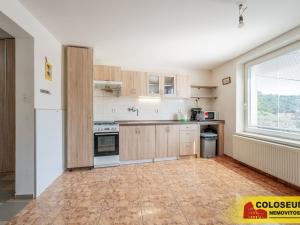 Prodej vícegeneračního domu, Dolní Kounice, 170 m2