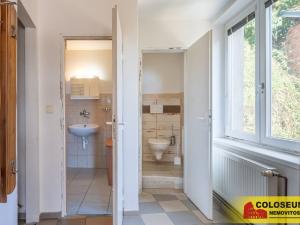 Prodej vícegeneračního domu, Dolní Kounice, 170 m2