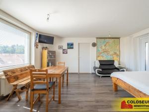 Prodej vícegeneračního domu, Dolní Kounice, 170 m2