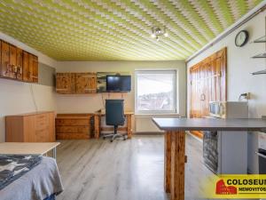 Prodej vícegeneračního domu, Dolní Kounice, 170 m2