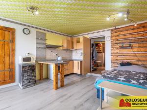 Prodej vícegeneračního domu, Dolní Kounice, 170 m2