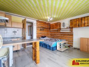 Prodej vícegeneračního domu, Dolní Kounice, 170 m2
