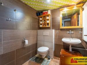 Prodej vícegeneračního domu, Dolní Kounice, 170 m2
