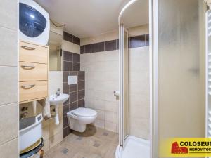 Prodej vícegeneračního domu, Dolní Kounice, 170 m2