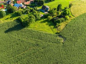 Prodej zahrady, Bačalky, 2482 m2