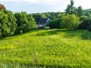 Prodej zahrady, Bačalky, 2482 m2