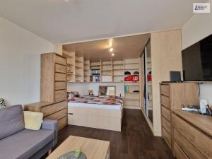 Prodej bytu 1+1, Plzeň - Jižní Předměstí, Čermákova, 43 m2