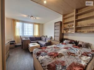 Prodej bytu 1+1, Plzeň - Jižní Předměstí, Čermákova, 43 m2