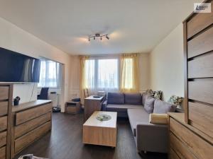 Prodej bytu 1+1, Plzeň - Jižní Předměstí, Čermákova, 43 m2