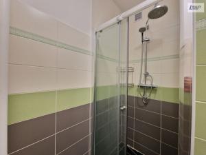Prodej bytu 1+1, Plzeň - Jižní Předměstí, Čermákova, 43 m2