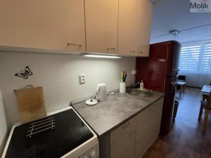 Pronájem bytu 2+kk, Most, Albrechtická, 40 m2