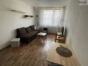 Pronájem bytu 2+kk, Most, Albrechtická, 40 m2
