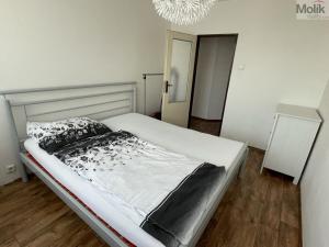 Pronájem bytu 2+kk, Most, Albrechtická, 40 m2