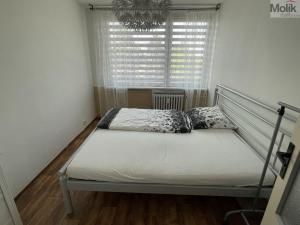 Pronájem bytu 2+kk, Most, Albrechtická, 40 m2