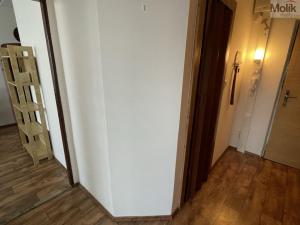 Pronájem bytu 2+kk, Most, Albrechtická, 40 m2
