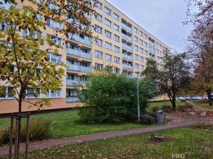 Pronájem bytu 1+1, Kolín, Rimavské Soboty, 30 m2
