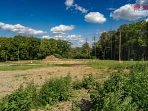 Prodej pozemku pro bydlení, Niměřice - Horní Cetno, 928 m2
