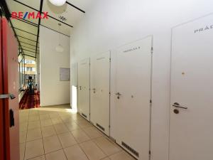 Pronájem bytu 1+kk, Praha - Karlín, Molákova, 35 m2