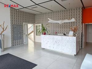 Pronájem bytu 1+kk, Praha - Karlín, Molákova, 35 m2