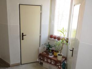 Pronájem bytu 3+1, Olomouc, Čajkovského, 76 m2