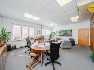 Pronájem kanceláře, Frýdek-Místek, Svazarmovská, 260 m2