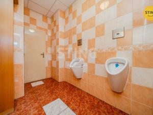 Pronájem kanceláře, Frýdek-Místek, Svazarmovská, 260 m2