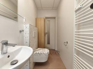 Pronájem bytu 1+1, Chomutov, Blatenská, 35 m2