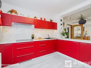 Prodej rodinného domu, Vodochody, 225 m2