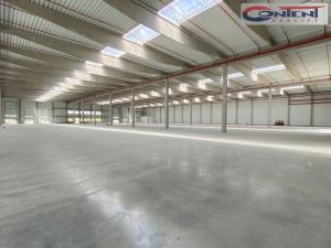 Pronájem výrobních prostor, Tachov - Oldřichov, 5249 m2