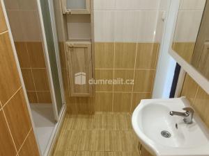 Pronájem bytu 1+1, Benešov nad Ploučnicí, Družstevní, 35 m2