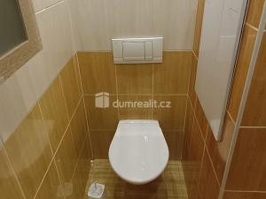 Pronájem bytu 1+1, Benešov nad Ploučnicí, Družstevní, 35 m2