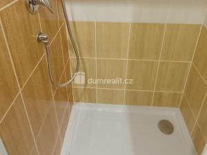 Pronájem bytu 1+1, Benešov nad Ploučnicí, Družstevní, 35 m2